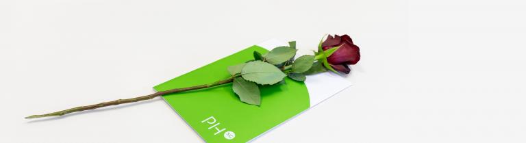 Rose auf Diplommappe